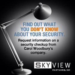 Security? See how SKYVIEW PARTNERS can help!