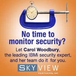 Security? See how SKYVIEW PARTNERS can help!