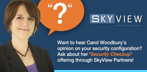 Security? See how SKYVIEW PARTNERS can help!